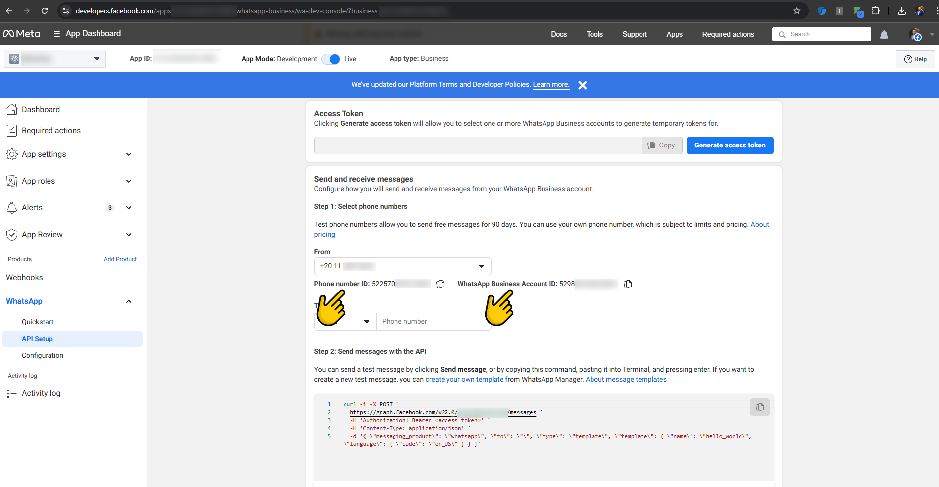 API Setup page showing Phone Number ID